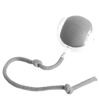 Lettuce Interactive Rolling Ball – Smart, Rechargeable Fun for Cats & Dogs