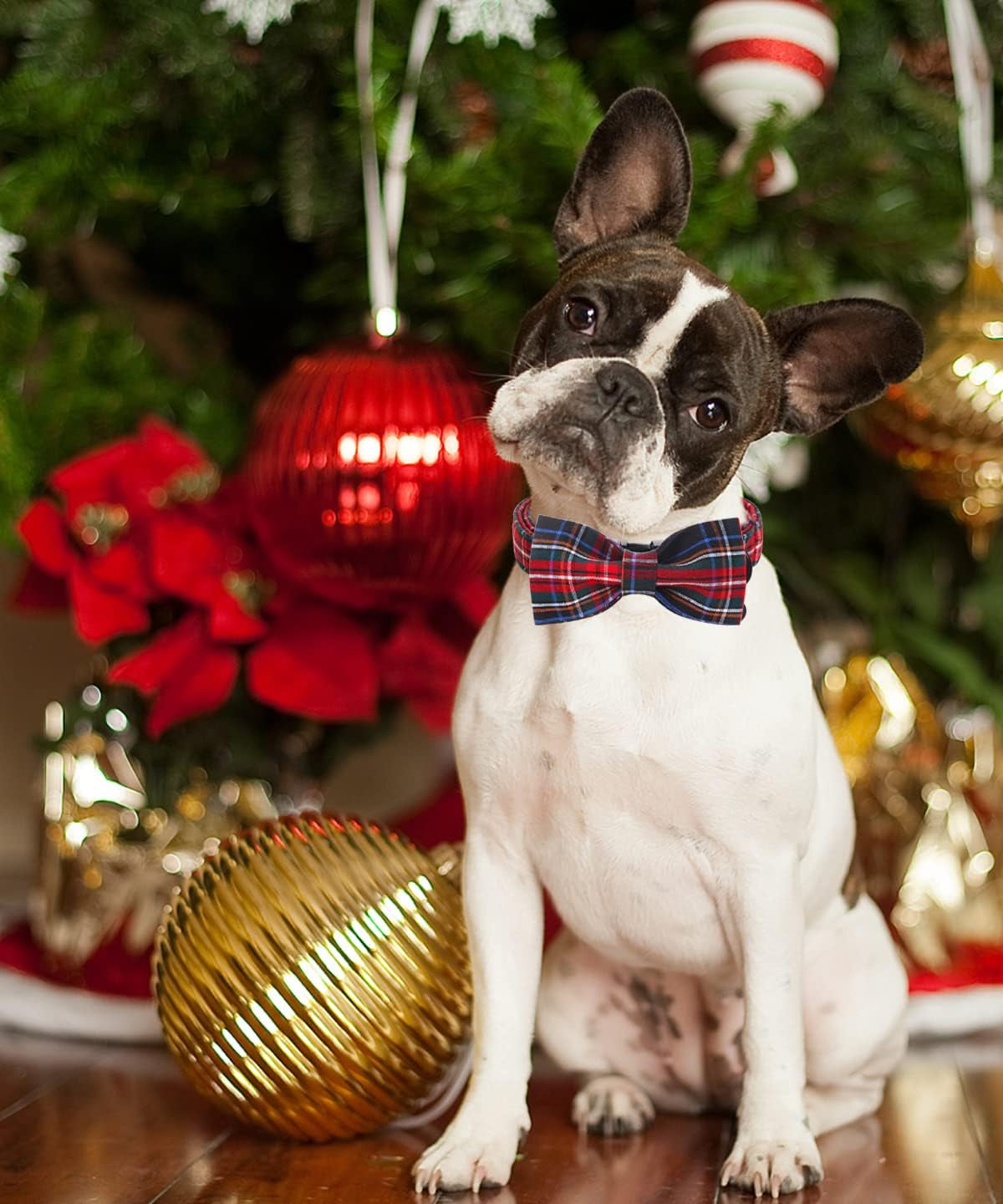 Dog Collar with Bowtie for Small Medium Large Dogs Plaid Pet Collar Comfortable Dog Collar, Checkered Bowtie Dog Collar Adjustable XS-XL