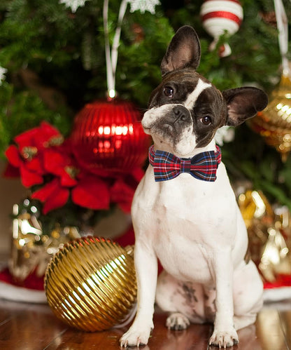 Dog Collar with Bowtie for Small Medium Large Dogs Plaid Pet Collar Comfortable Dog Collar, Checkered Bowtie Dog Collar Adjustable XS-XL